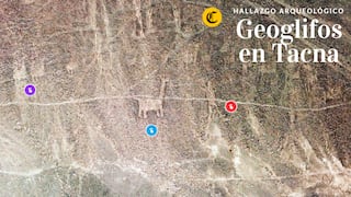 Hallazgo en Tacna: arqueólogos descubren antiguos geoglifos de camélidos dentro de zona cultural | VIDEO