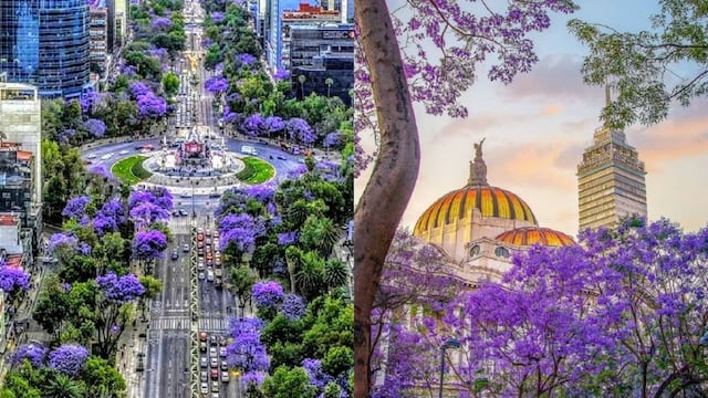 EQUINOCCIO | ¿A qué hora inicia la primavera 2024 en MÉXICO?