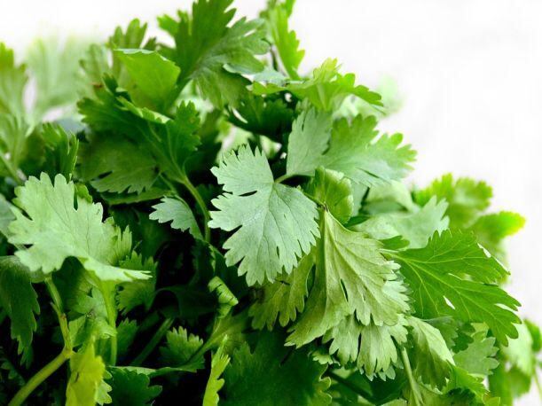 Conoce el truco de cocina para conservar cilantro fresco hasta por un mes. (Foto: Pixabay)