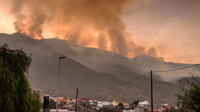 España: Un incendio en la isla de Tenerife avanza sin control