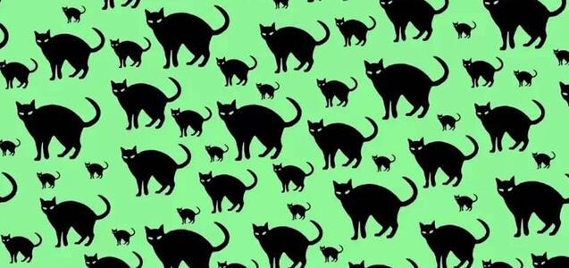 Encuentra al animal intruso oculto entre los gatos en 8 segundos y pon a prueba tu visión