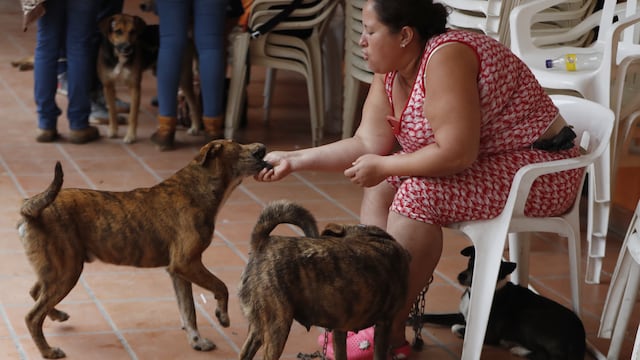 La mujer a la que sus 4 perros le salvaron la vida tras avalancha en Colombia