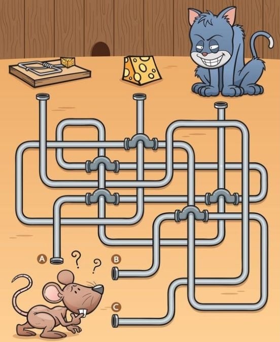 Este desafío de laberinto pone a prueba tu coeficiente intelectual y tus habilidades de observación. ¡Es una carrera contra el tiempo!