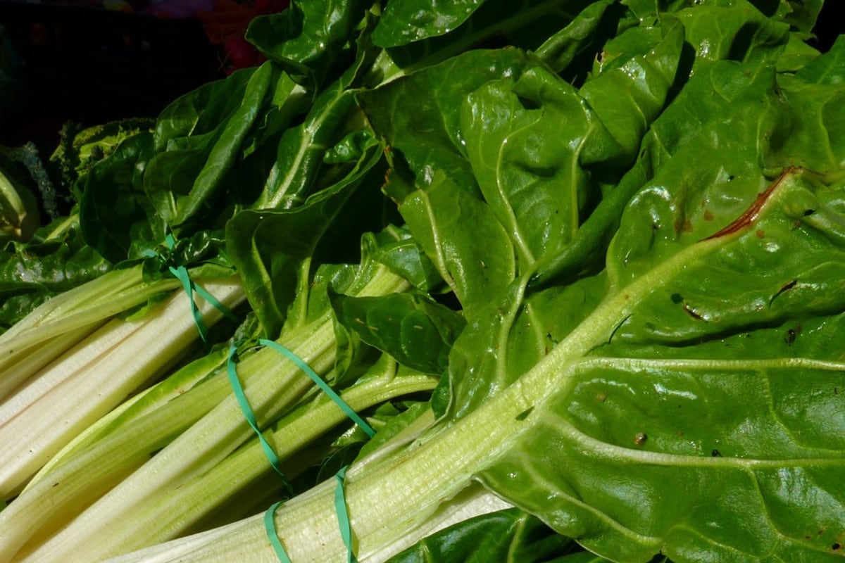 Pon a prueba un truco casero efectivo para conservar la acelga por más tiempo. (Foto: Pixabay).