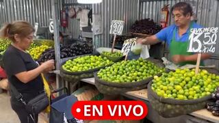 Precio del limón en Perú: precio por kilo y cajón en los principales mercados de Lima y provincias
