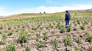 AGAP expresó su preocupación por las posibles restricciones de las importaciones de alimentos 