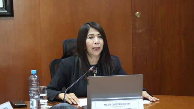 Comisión Permanente votará el miércoles 6 el informe contra María Cordero por caso de recorte de sueldo a trabajadores