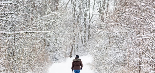 ¿Va a nevar en EE.UU. durante Thanksgiving 2025? Lugares donde se espera nieve
