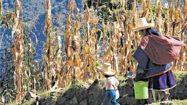 La paradoja cajamarquina: entre el potencial económico y la pobreza más grave