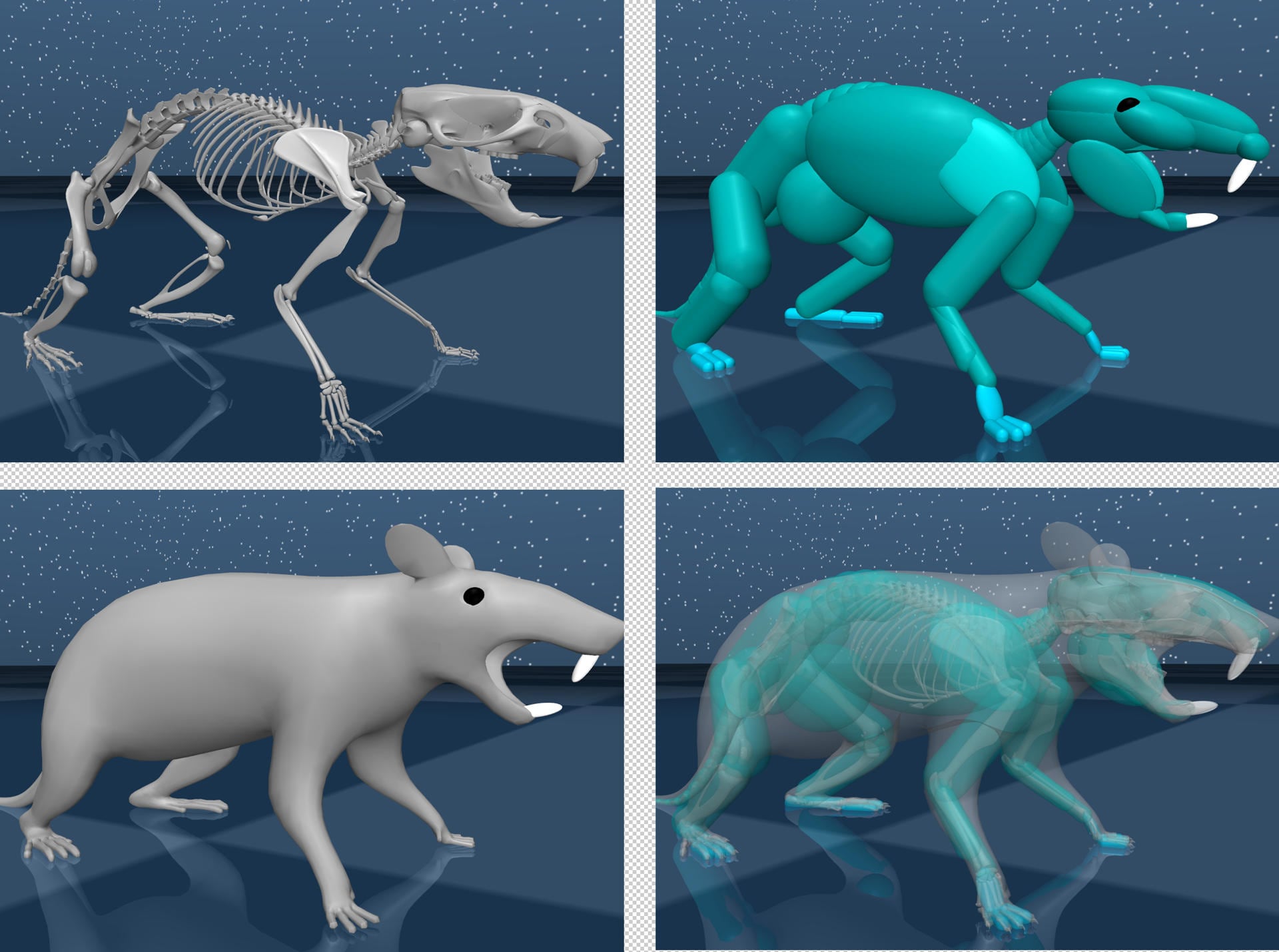 Investigadores de la universidad de Harvard y de DeepMind, la empresa de inteligencia artificial (IA) de Google, han creado una rata virtual, con un cerebro artificial capaz de controlar movimientos complejos y coordinados, con el objetivo de ayudar a descifrar los mecanismos por los que el cerebro controla el movimiento. A través de este modelo digital realista de la rata, descrito este martes en la revista Nature, la ciencia da un paso más allá al desarrollar un sistema de IA que no solo piensa de forma inteligente, sino que, además, traduce ese pensamiento en acciones físicas, en este caso en el movimiento de las extremidades. EFE/Google DeepMind