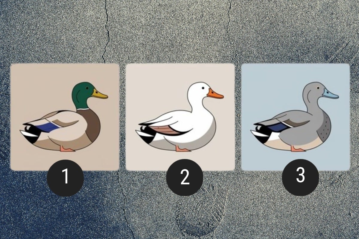 Elige uno de los patos en esta imagen para descubrir cuál es tu trauma más grande. (Imagen: El Comercio/Mag)