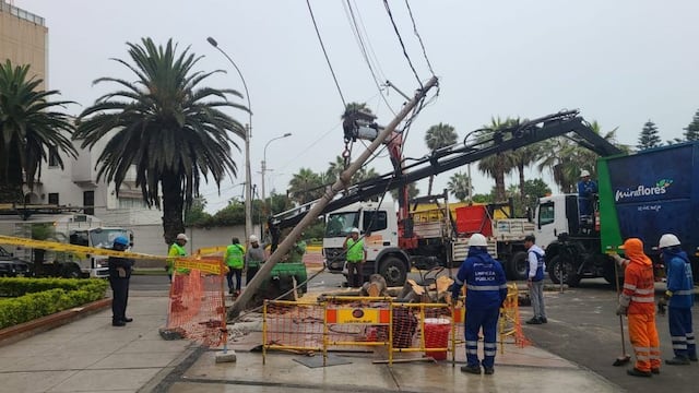 La calle permaneció cerrada durante el retiro del árbol por parte de la municipalidad de Miraflores.