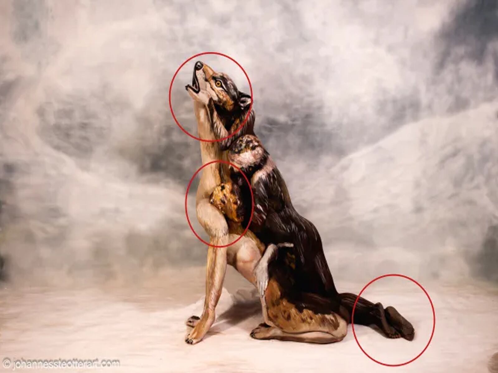 RETO VISUAL | ¿Encontraste los tres cuerpos sin ayuda? | Johannes Stötter