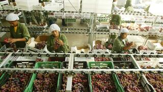 Exportaciones de uvas crecerían en 10% al cierre del 2020, según ComexPerú
