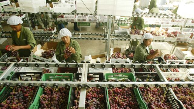 Perú se consolida como el segundo exportador mundial de uva