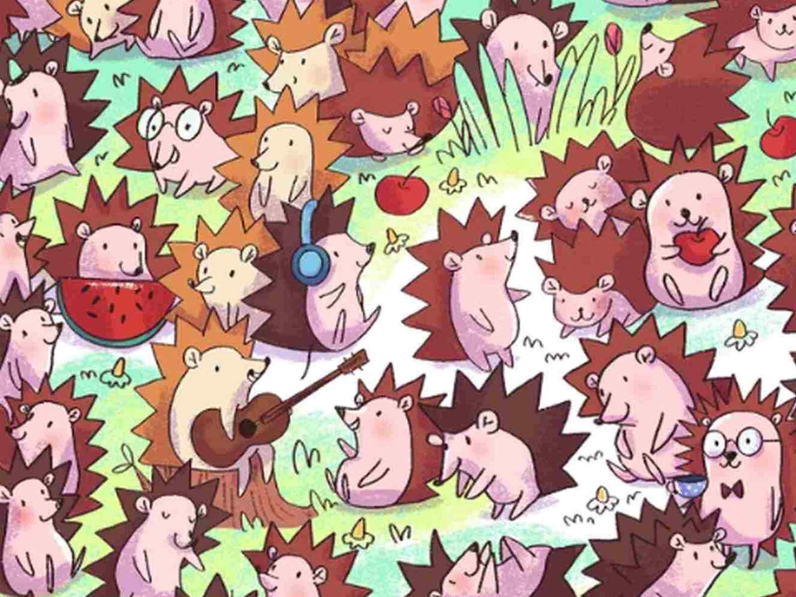 RETO VISUAL | En esta imagen se aprecian muchos erizos. Hay un cactus entre ellos. (Foto: genial.guru)