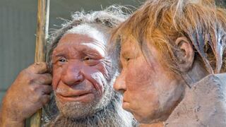 Estudio revela que los neandertales eran más parecidos a los humanos de lo que se creía
