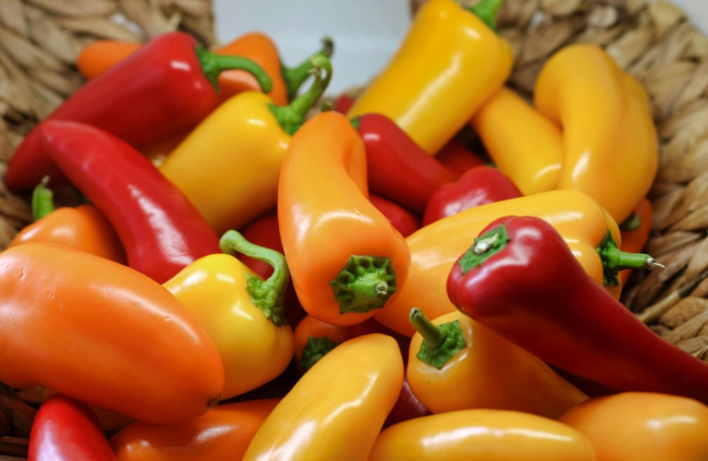 Las regiones con mayor producción de ajíes son Lima (20,3%), Tacna (20,1%) e Ica (17%). (Foto: Pexels)