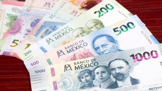 Apoyo Bienestar para mayores de 30 años en CDMX de 8500 pesos: ¿para quiénes aplica y desde cuándo será?