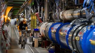 Una comadreja obligó a parar el Gran Colisionador de Hadrones