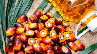 Exportaciones de Ucayali alcanzan cifra récord de US$124 millones en 2022 lideradas por el aceite de palma