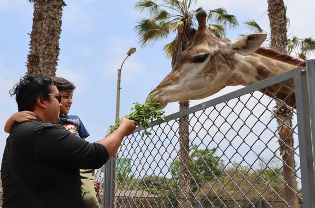 En la sede San Miguel, los visitantes podrán disfrutar de una tarde llena de aventuras con distintos animales.
