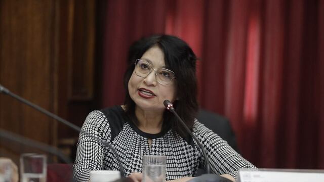 Canciller Gervasi: Comunicación de la ONU es de expertos independientes y no una posición oficial