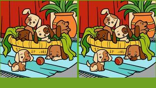 Encuentra las 3 diferencias en este rompecabezas de ilusión óptica en 15 segundos