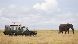 ¿Cuánto cuesta realizar un safari en África? Precios y consejos