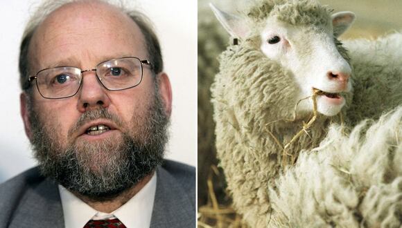 Ian Wilmut del Instituto Roslin de Edimburgo (izq.), el científico que creó la oveja Dolly (dcha.), el primer mamífero clonado del mundo. (Foto de AFP)