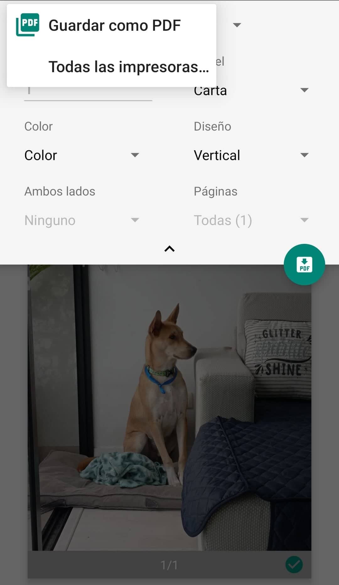 Configura los detalles de impresión de la imagen almacenada en Google Fotos. Fotos: Mag El Comercio