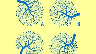 Reto de inteligencia: encuentra dos árboles similares ¡en solo 5 segundos!