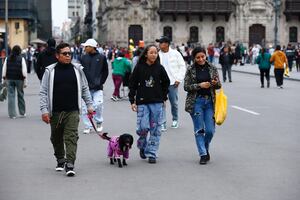 Mascotas serán incluidas en la Encuesta Nacional de Hogares: ¿Qué información busca reunir el INEI y por qué es clave saberlo?
