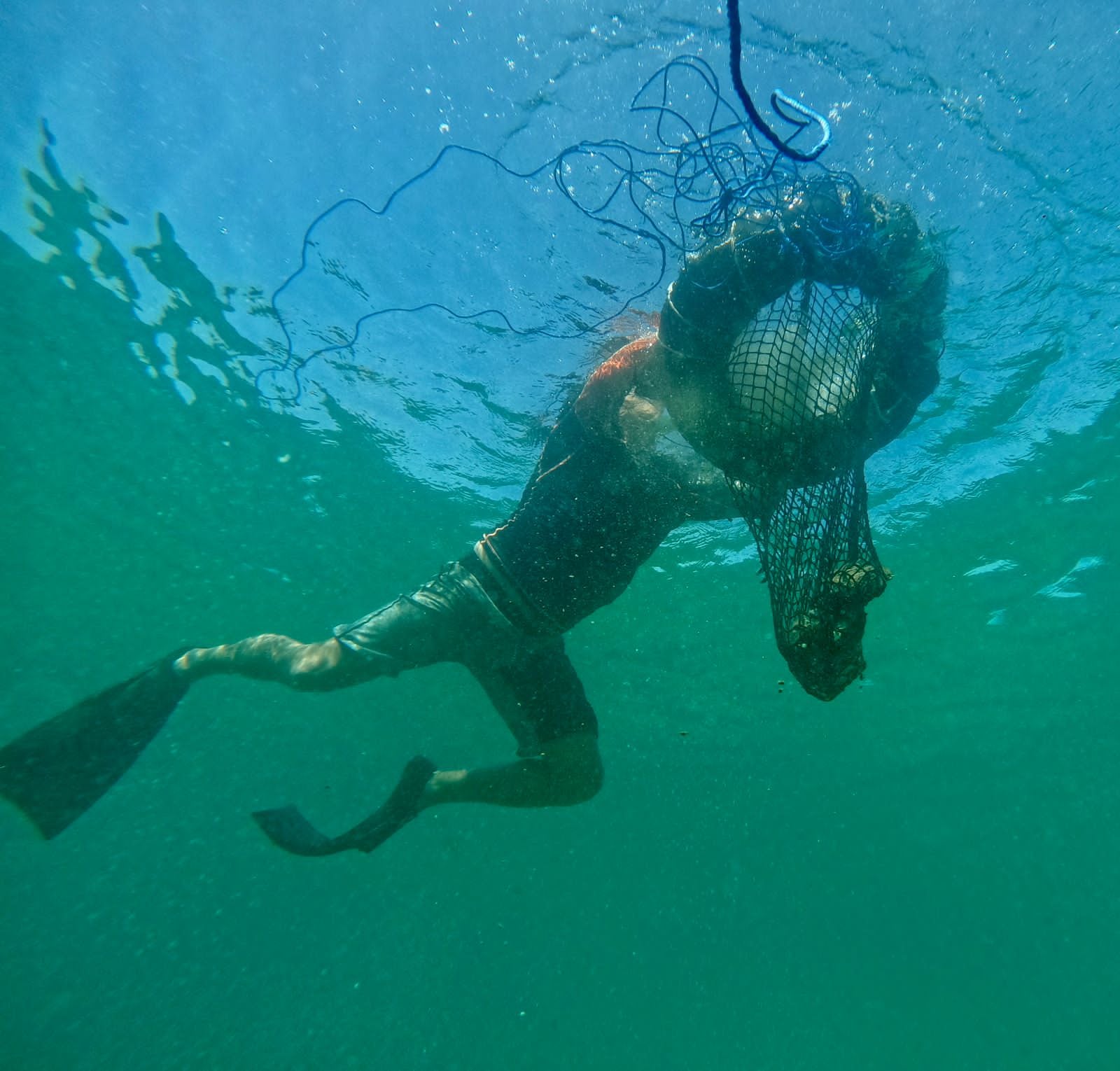 Heladio Soriano coloca los ostiones que captura en la red adherida a una cámara de llanta. Foto: Julien Guichard