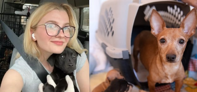 La mujer de Mississippi que salvó a mil 400 animales de la eutanasia: “No pararé”