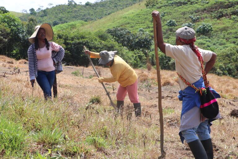 Mujeres durante la limpieza de terreno para la siembra de plátano, en el norte del Cauca, Colombia. Foto: ASOM.