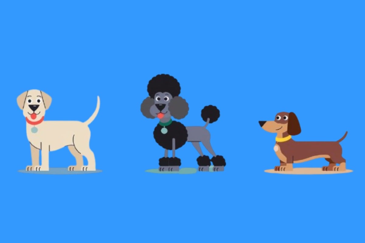 Déjate llevar por la intuición y la primera impresión tras ver a los tres perros protagonistas de este test de personalidad. (Imagen: El Comercio/Mag)