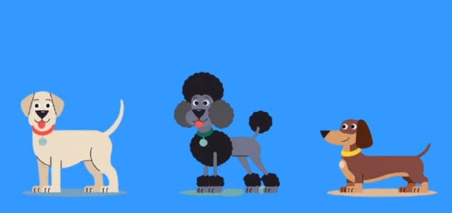 Descubre si eres una persona leal con solo elegir uno de los tres perros