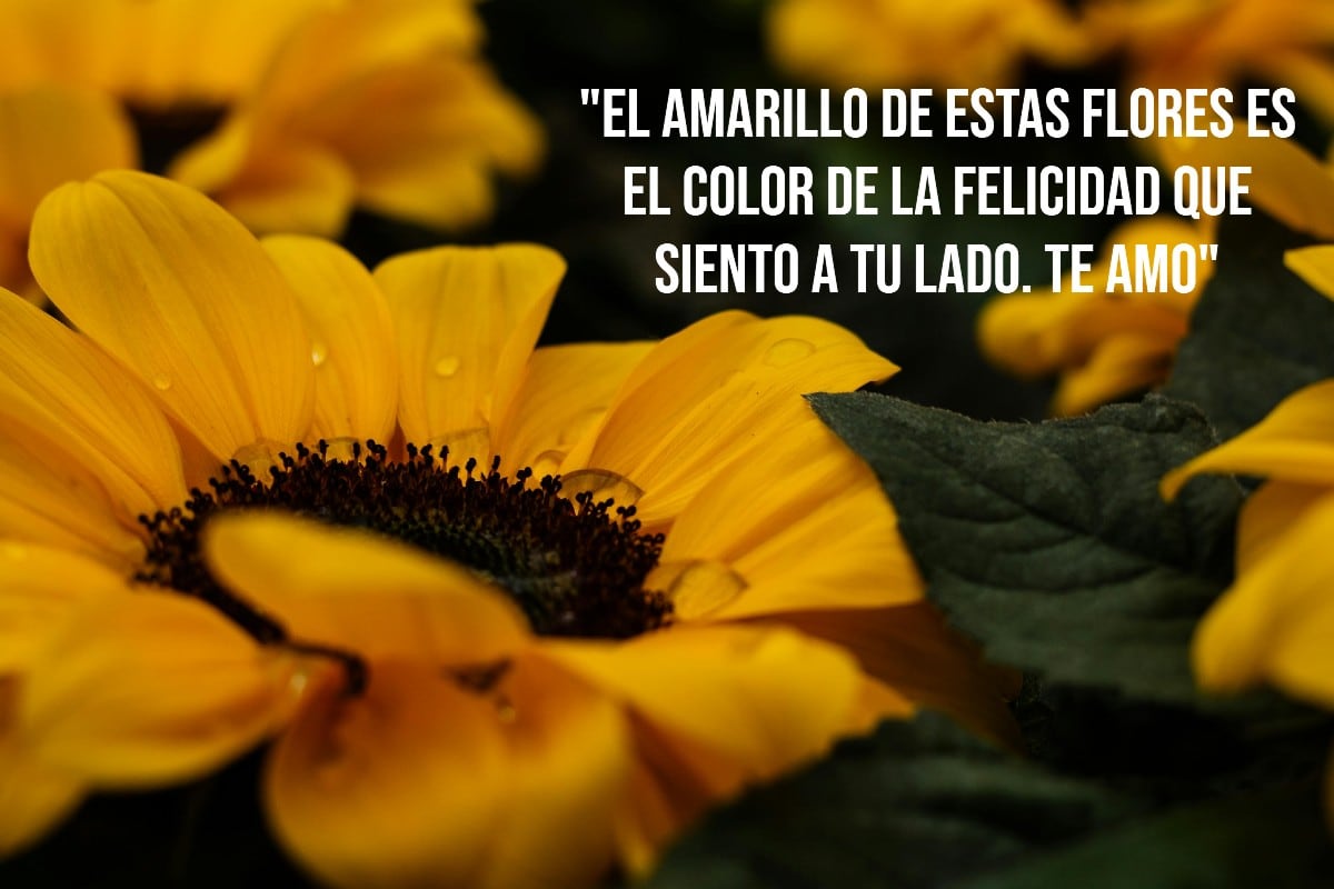 FRASES | Este puede ser el mensaje que tu pareja tanto está esperando escuchar o leer este 21 de septiembre junto a sus flores amarillas. (Foto: Luriko Yamaguchi en Pexels / Composición MAG)