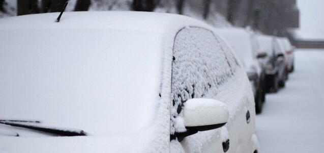 Pronóstico de nueva nevada para el fin de semana: qué estados serán los más afectados