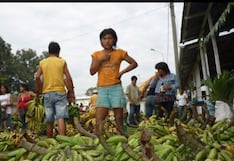 Comisión Permanente del Congreso extiende beneficios tributarios en IGV e ISC hasta el 2028