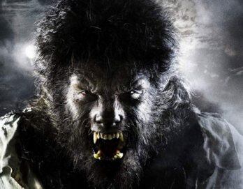 La leyenda del Hombre Lobo ha sido llevada a la televisión, el cine y el teatro.