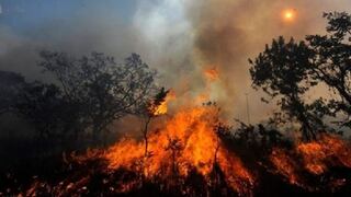 Incendios alarmantes en Sudamérica: ¿Cuáles son las causas detrás de esta catástrofe ambiental?