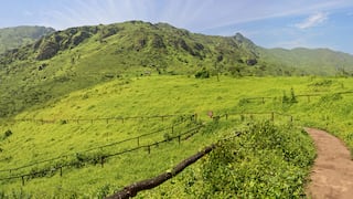 Día Mundial del Medio Ambiente: conoce las actividades en las áreas naturales protegidas en Perú