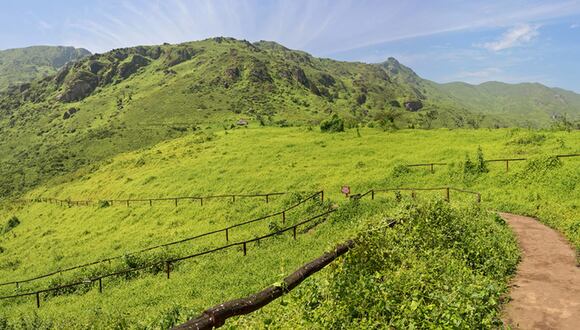 La Reserva Lomas de Lachay es un destino que se caracteriza por tener mucha flora y fauna. Desde fines de junio hasta octubre que es cuando podrás admirar el paisaje en todo su esplendor. (Foto: Shutterstock)