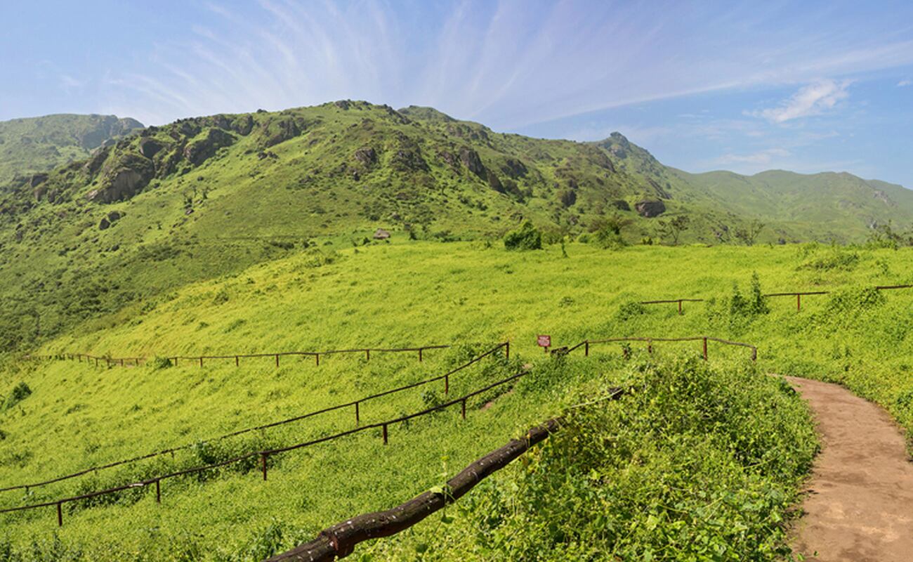 La Reserva Lomas de Lachay es un destino que se caracteriza por tener mucha flora y fauna. Desde fines de junio hasta octubre que es cuando podrás admirar el paisaje en todo su esplendor. (Foto: Shutterstock)