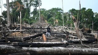 Devastación imparable: 30 áreas protegidas amazónicas de Colombia y Perú acorraladas por la minería y el narcotráfico