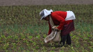 AGAP: No excluyan al sector privado del grupo de trabajo sectorial para la segunda reforma agraria