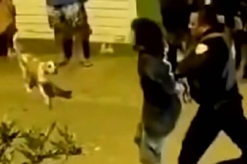 Sereno intervenid de pertenecer presuntamente a una banda de delincuentes. Foto: América Noticias