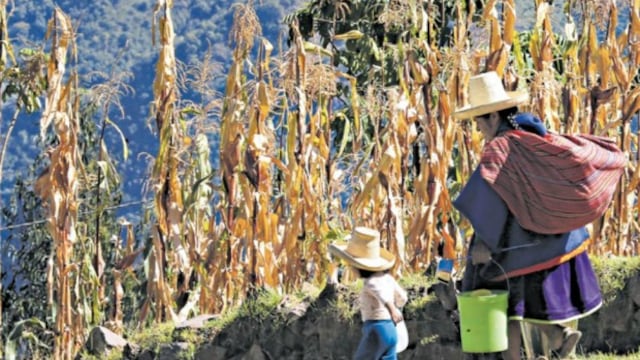 Cajamarca: hacia el desarrollo sostenido, por Rafael Belaunde
